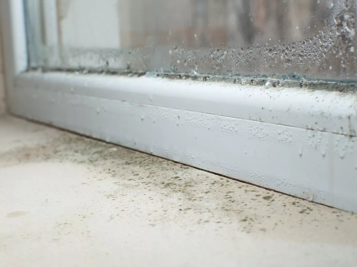Banishing Window Condensation with Ease: Discover a Simple Solution!