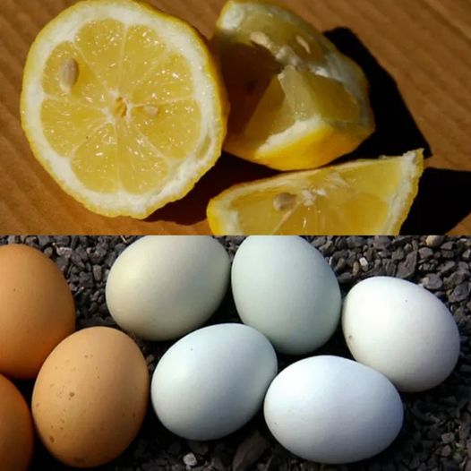 The Magic of Lemon and Egg: A Golden Recipe for Health and Wellness