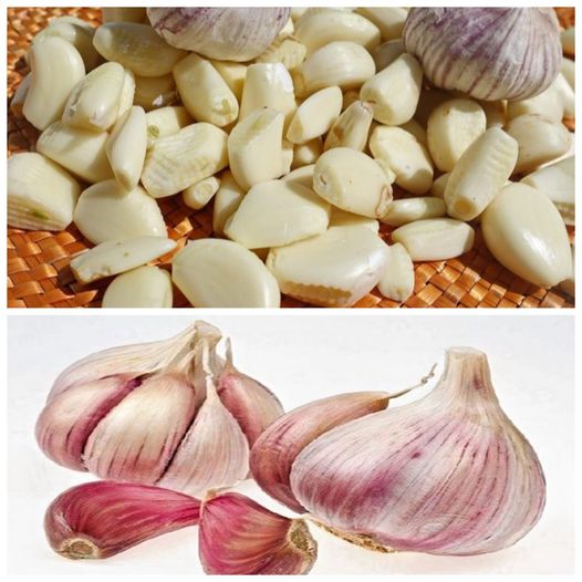 Unveiling the Mysteries: 11 Surprising Secrets About Garlic