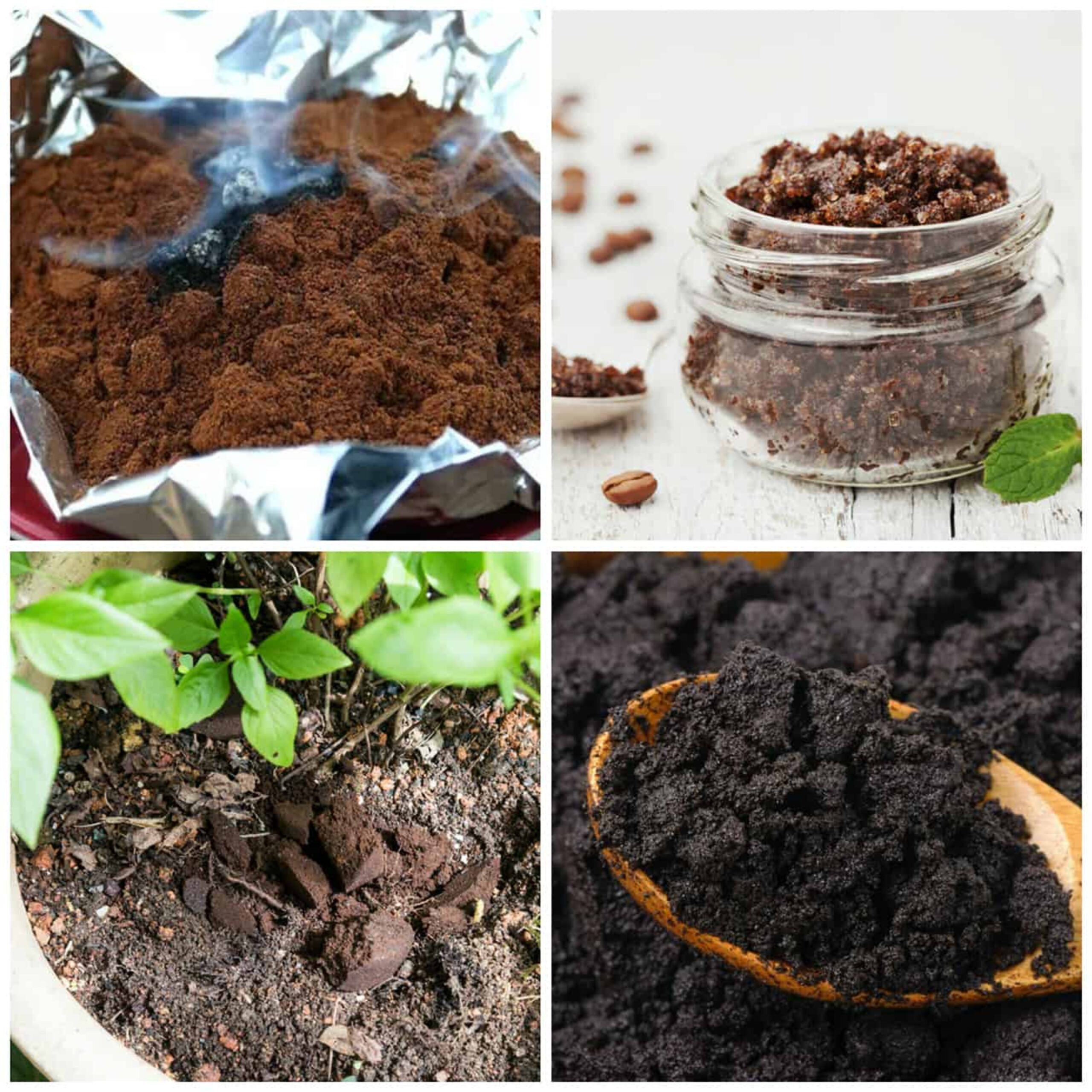 Uncover the Hidden Wonders of Used Coffee Grounds!