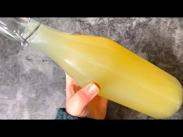 Homemade Probiotic Lemon Drink: A Natural Remedy for Healthy Intestines!