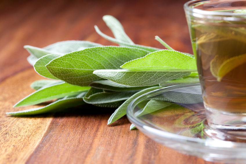 The Wonders of Sage Tea: A Cup a Day Keeps the Doctor Away