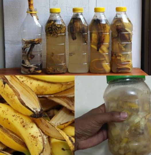 Discover the Magic of Banana Peels