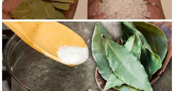 Discover the Hidden Secrets of Salt and Bay Leaves