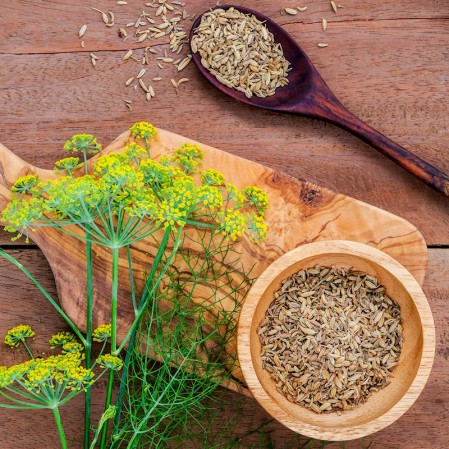 The Wonders of Fennel Seeds: A Pinch of Goodness for Your Well-being