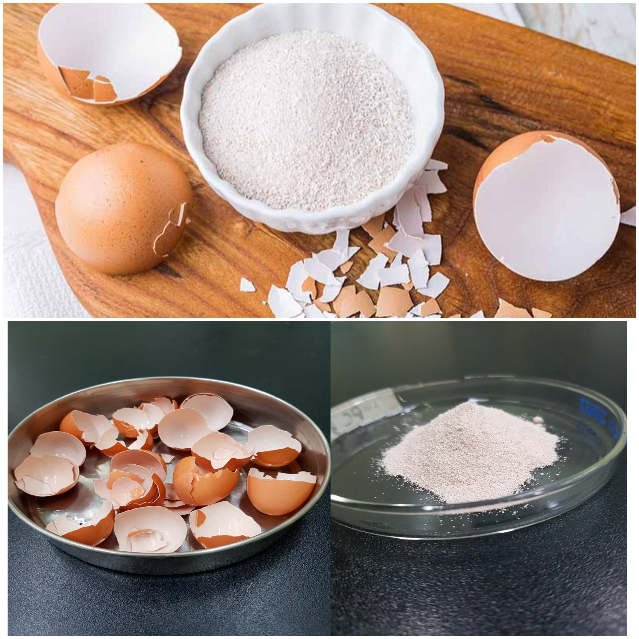The Tiny Spoonful with Mighty Benefits: Eggshell Powder for Your Bones and Teeth