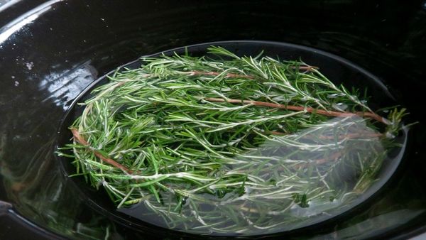 Rosemary: Your Ultimate Home Essential