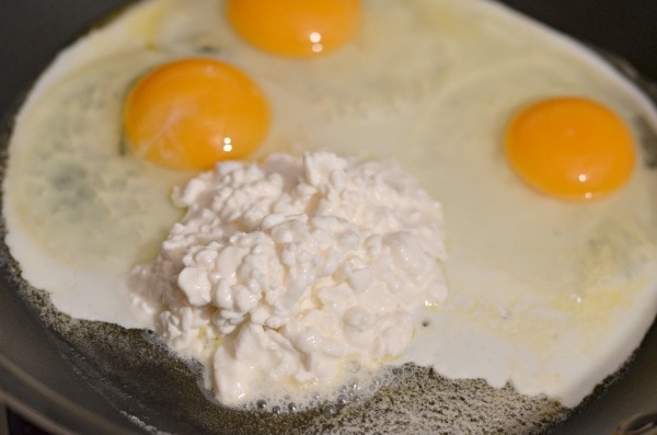 A Delightful Duo: Eggs and Cottage Cheese Recipe Your Family Will Adore