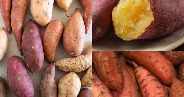 Discover the Magic of Sweet Potatoes: A Treasure in Your Kitchen!