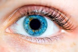 6 Best Foods for Your Eyes: EAT for Clear Eyesight
