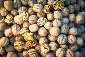 The Wonder of Walnuts: A Daily Delight for Your Well-being