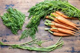 The Hidden Treasure: Delving into the Benefits of Carrot Tops