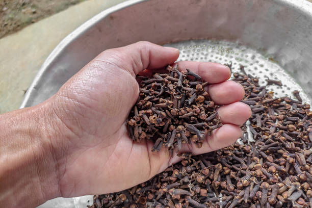 The Surprising Power of Cloves: A Simple Experiment with Big Results