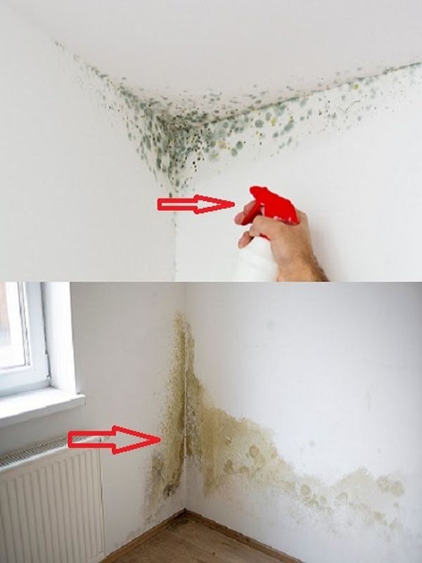 Grandmother’s Old Trick Makes Mold Disappear from Your Home