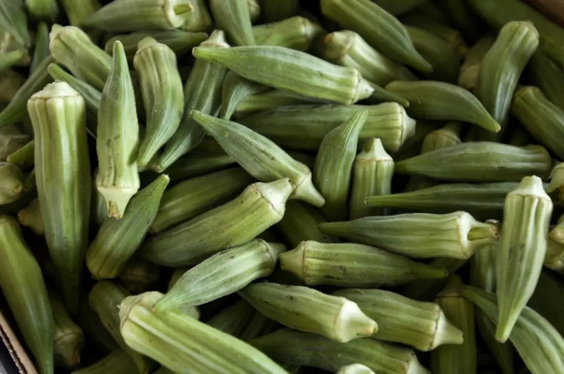 Okra: The Secret Ingredient to Nourishing Your Body