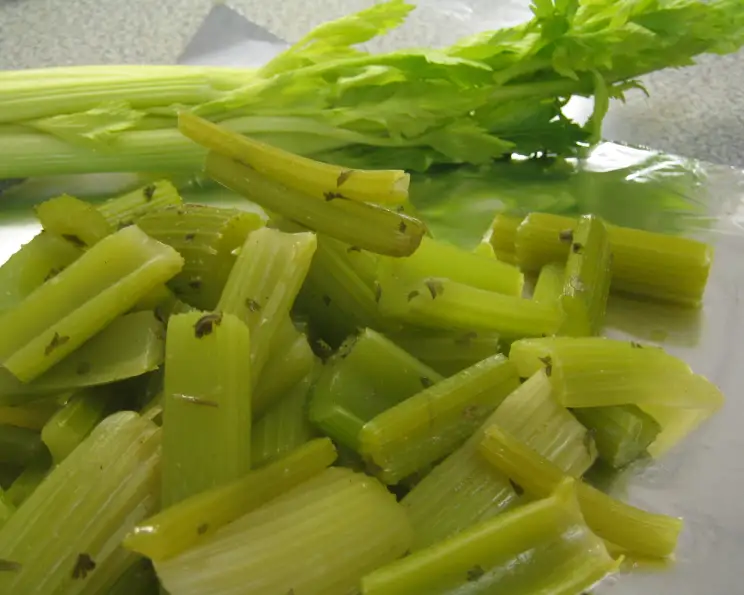 Celery: The Natural Detoxifier and Bacteria Killer