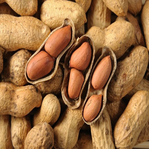 The Nutty Benefits: What Happens When You Eat Peanuts Every Day