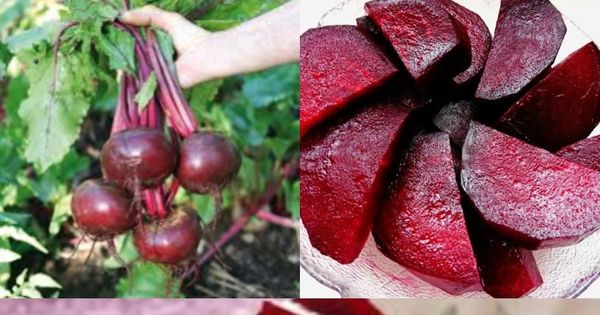 The Amazing Benefits of Beets for Your Health