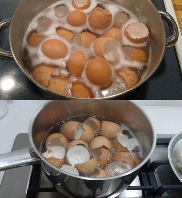 Boiling Eggshells: Saving Money and the Environment