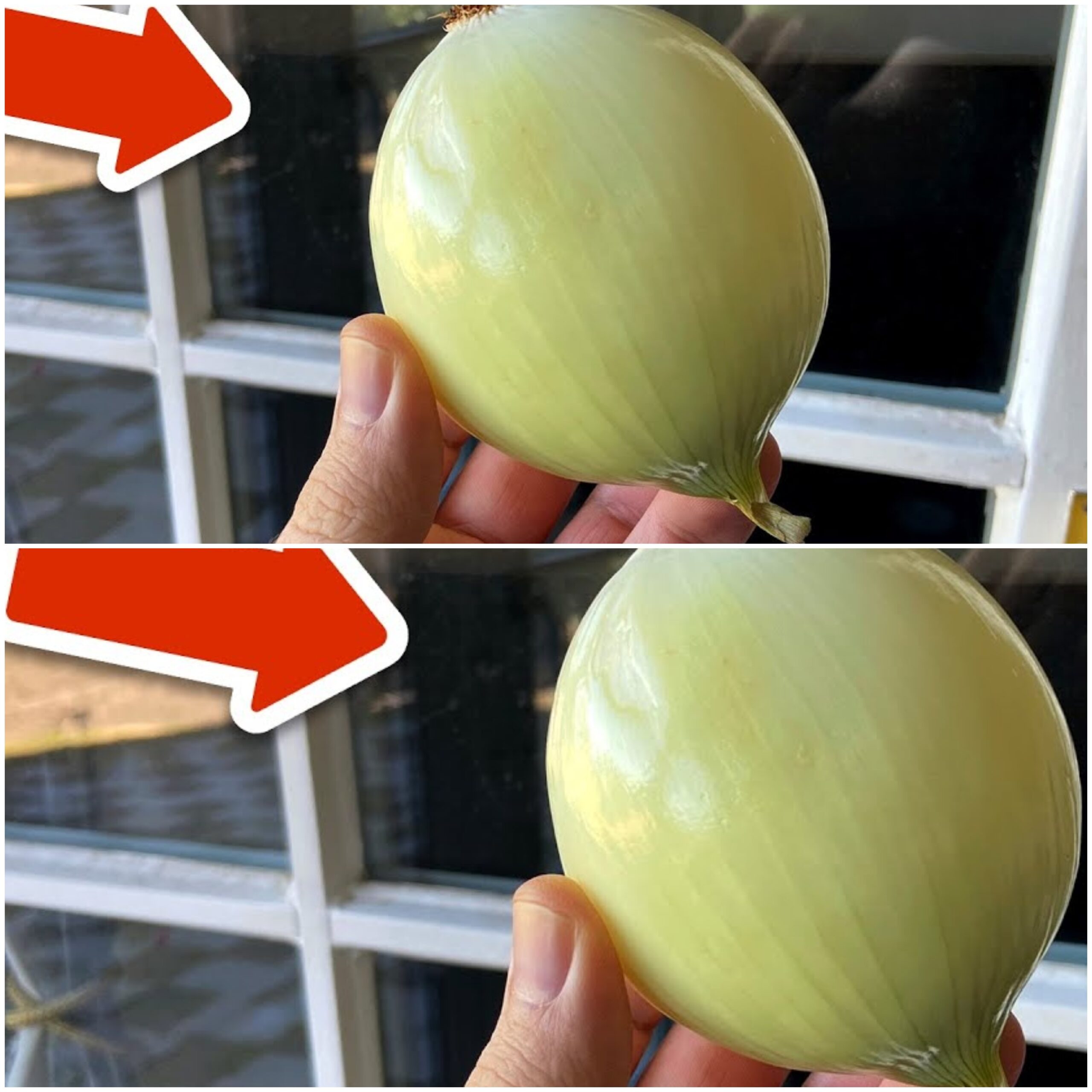 The Clear Choice for Sparkling Windows: Why an Onion Might Be Your Best Friend