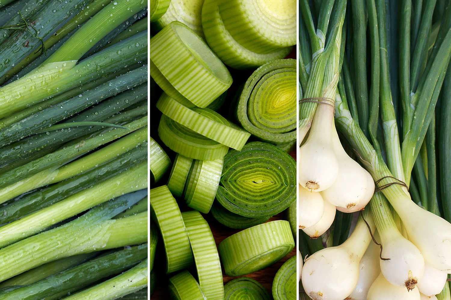 Keeping Green Onions Fresh Through Winter: A Guide to Preserving Their Flavor and Aroma