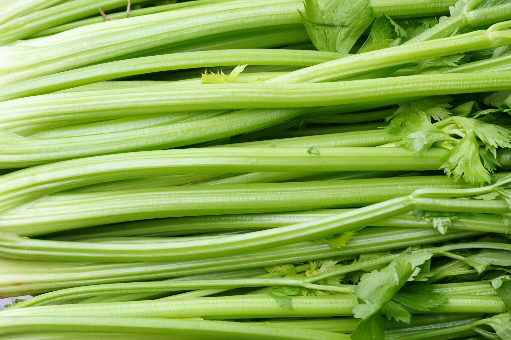 Discover the Cleansing Power of Celery: A Time-Honored Tradition