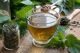Discovering the Hidden Treasures of Nettle Tea: A Health Elixir for Everyone