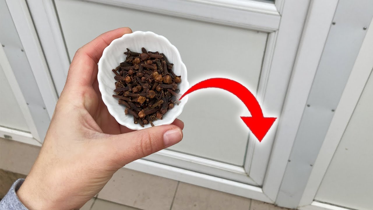 Discover the Magic of Cloves: A Simple Trick with Surprising Benefits