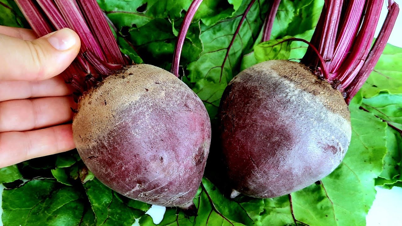 The Red Beet Miracle: A Secret Recipe Revealed