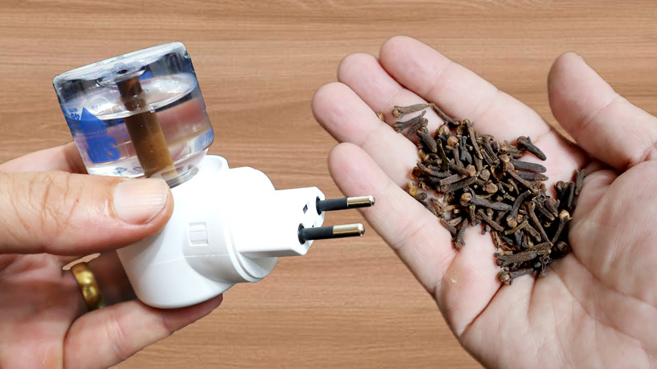 A Clove Solution: The Natural Way to Keep Mosquitoes at Bay