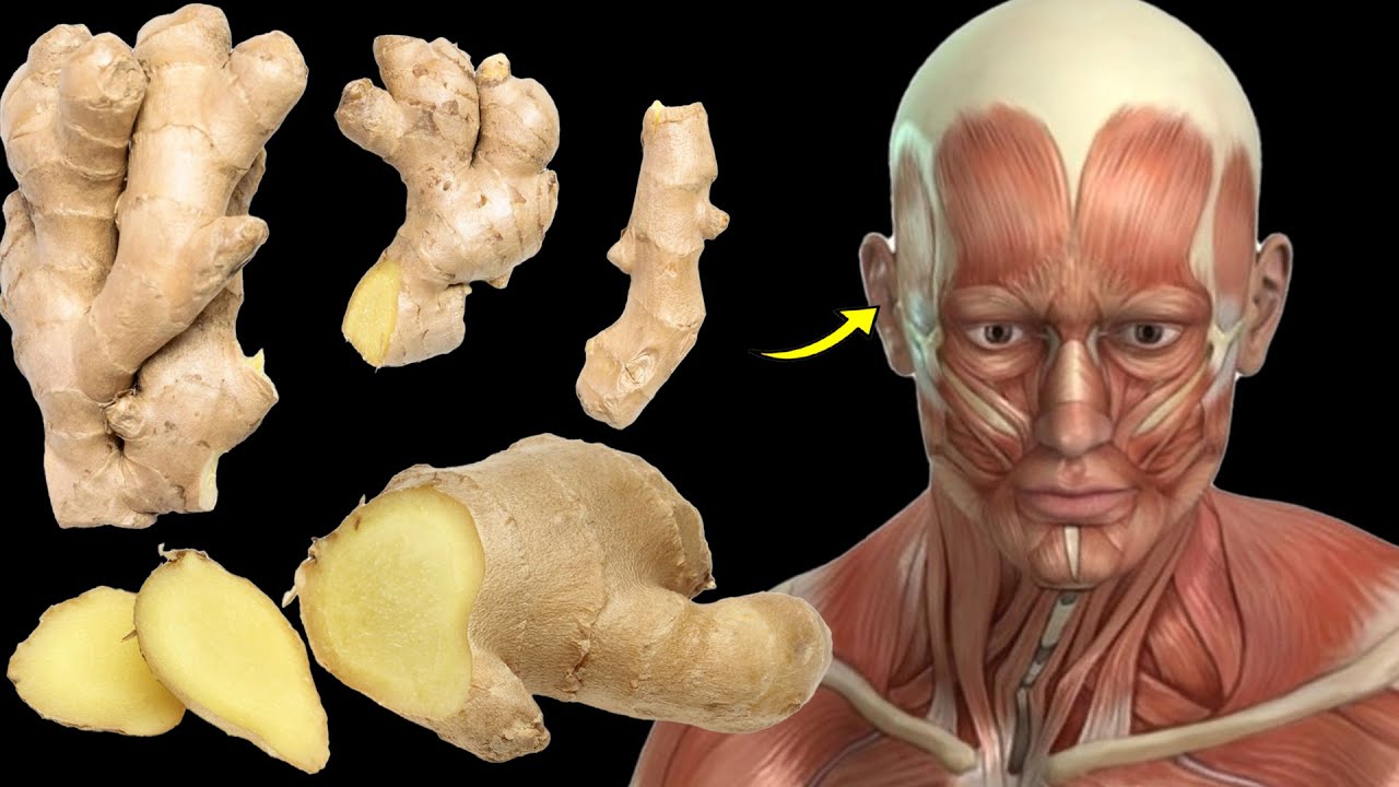 Unlocking the Benefits: The Impact of Eating Ginger Every Day on Your Body