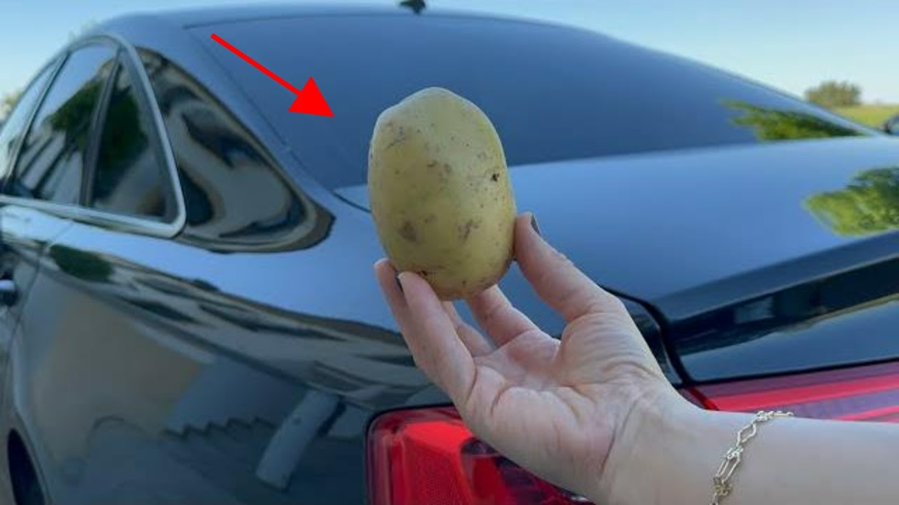 The Potato Paradox: How a Simple Spud Could Be Your Lifesaver on the Road