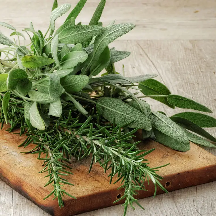 Unlocking Nature’s Secrets: Rosemary and Sage Tea for Hair Vitality