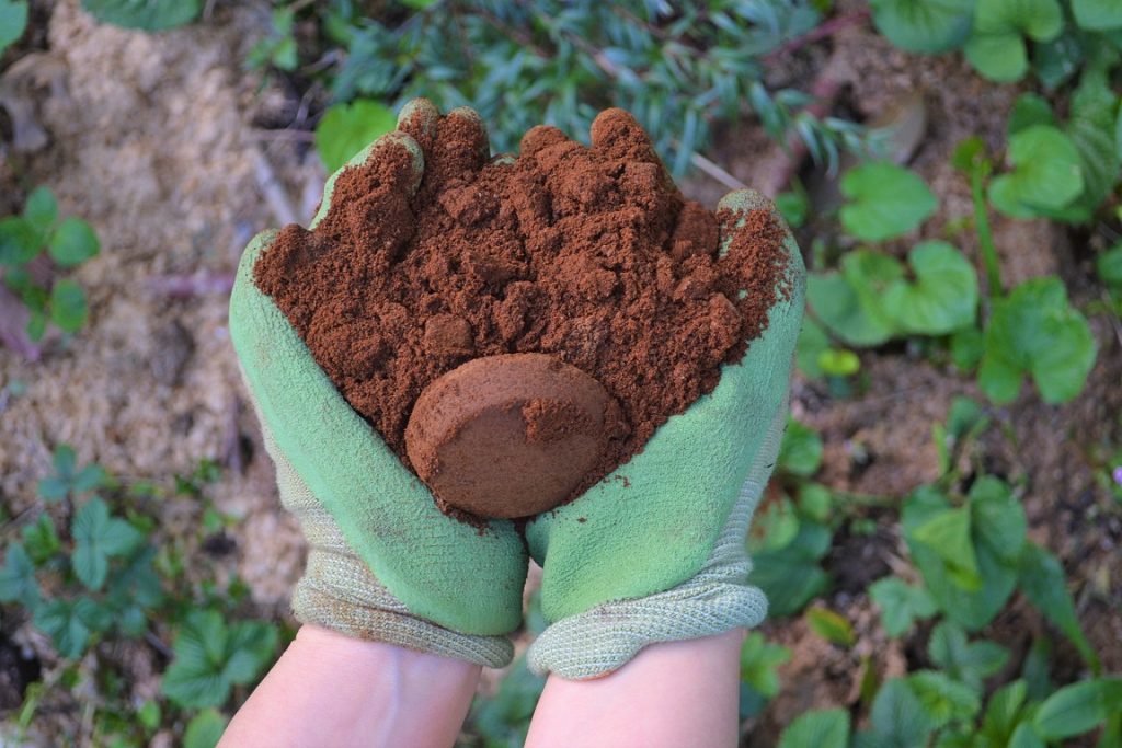 Discovering the Hidden Value of Used Coffee Grounds