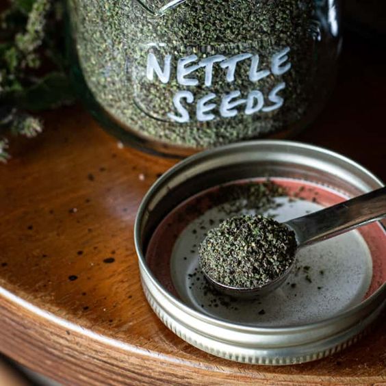 Boost Your Health with Nettle Seeds and Honey: A Natural Remedy for Anemia and Immunity
