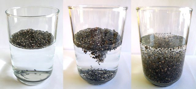 The Chia Secret: A Must-Do for Every Meal