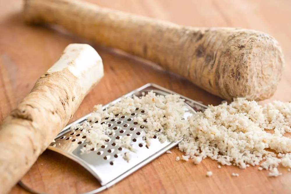 Breathe Easier with Horseradish: A Natural Remedy for Clearing Lungs and Sinuses