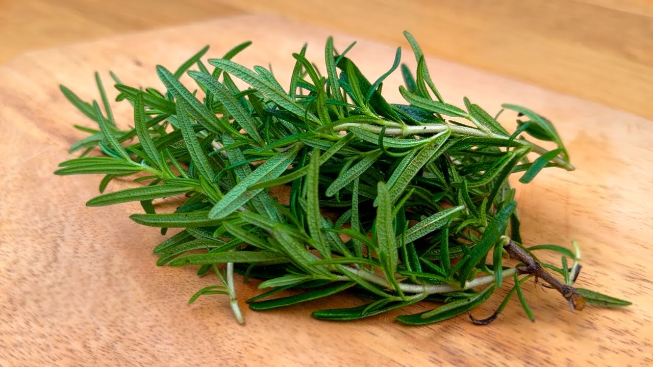 Rosemary: A Natural Powerhouse for Intestinal Health