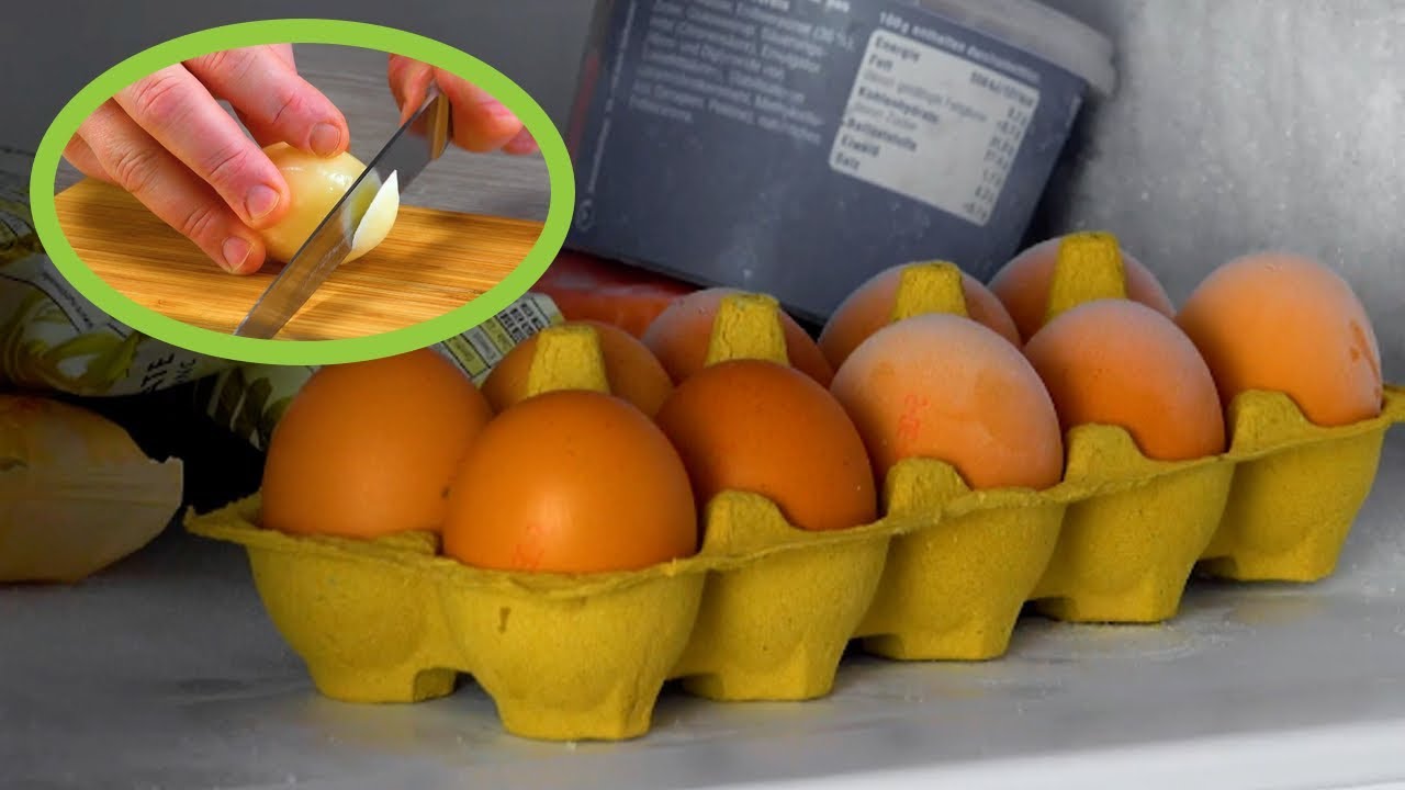 The Egg-cellent Idea: Freezing Your Eggs for Longevity