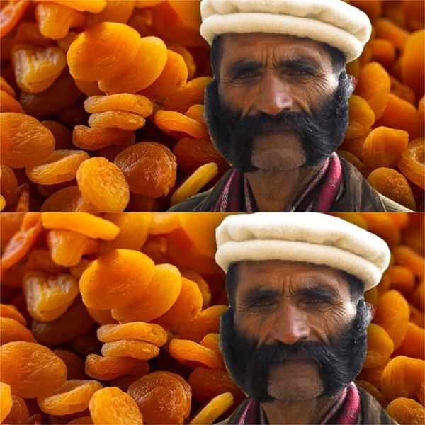 The Power of Dried Apricots: A Delicious Path to a Healthy Life