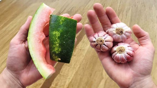 Elevate Your Cooking with Homemade Watermelon Rind and Garlic Blend