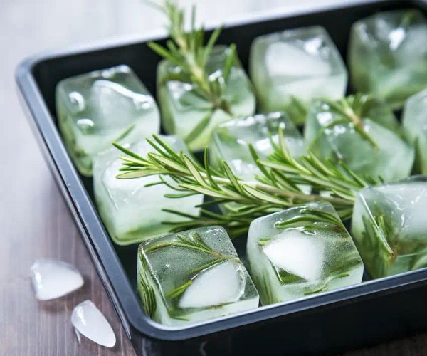 ice cubes of rosemary