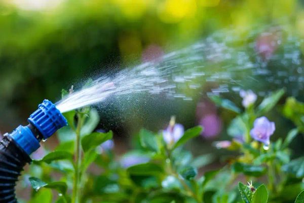 hydrogen peroxide to irrigation water improves oxygen levels