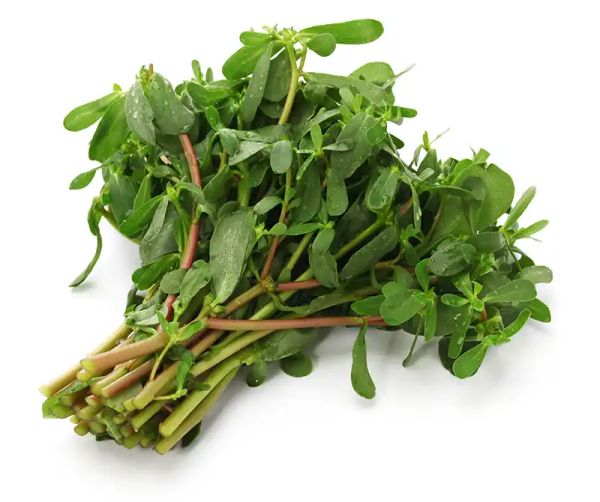 Purslane recipes