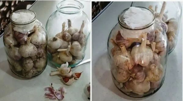 12 Effective Methods for Storing Garlic During Winter