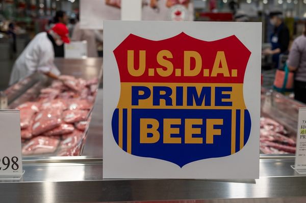 Kitakyushu, Fukuoka, Japan - August 27, 2024: USDA Prime Beef logo at the Costco meat section